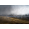 Aubrac, paysage dans la brume